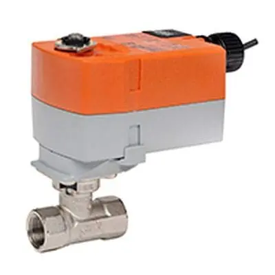 Belimo B218+TFRB24-3 CCV