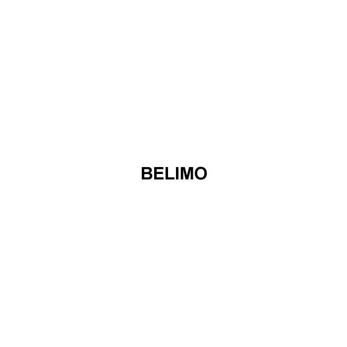 Belimo B231+AFRX24-MFT-S Characterized Control Valve 24V 1.25 Inch NPT