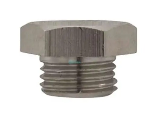 SK0281227-US20260702-105043-0 Pentair 171P1180 Berkeley Pipe Plug - Image 1
