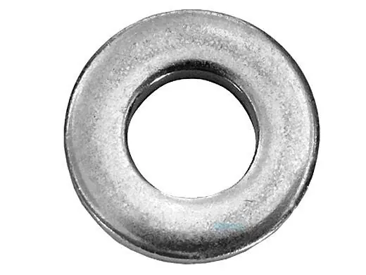 Pentair 53004800Z Washer for Clamp