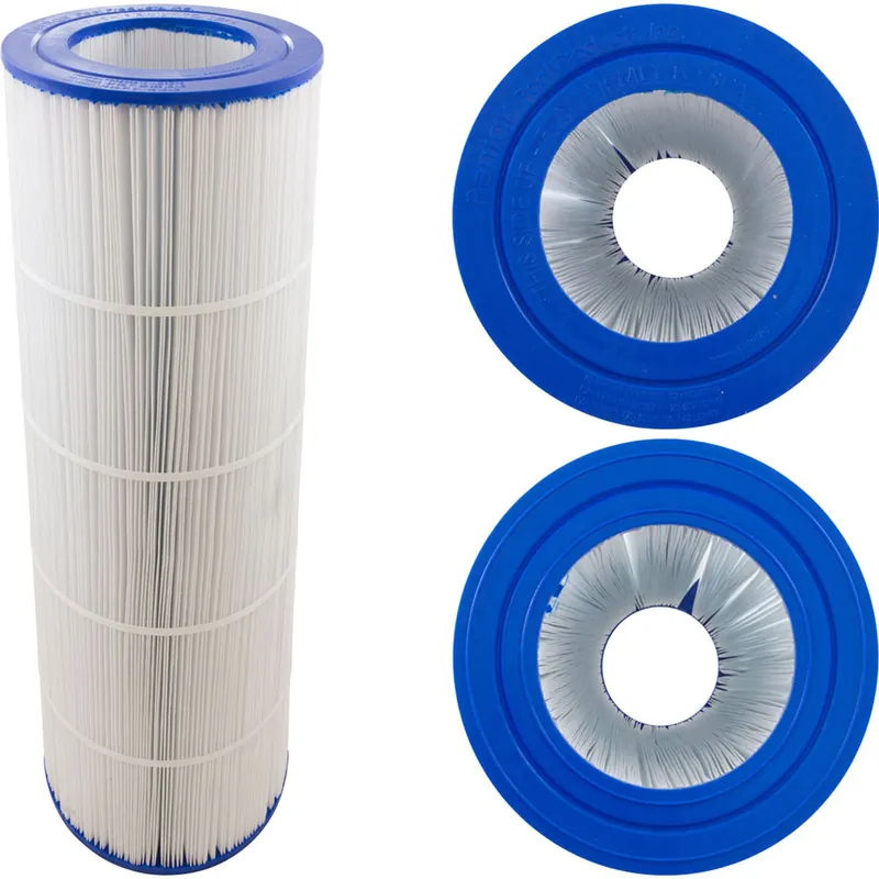 Pentair R178672 Cart Rplcmnt Cc 175
