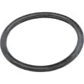 SK0288824-US20260702-105043-0 Hayward RSX750UG Gasket-Union, Rs Pump - Image 1