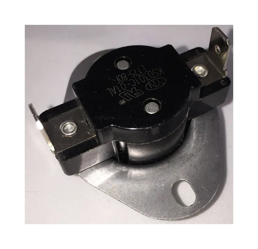 SK0291577-US20260702-105043-0 King Electric 60067 60T11-313198 Replacement Part - Image 1