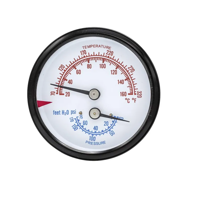 SK0294233-US20260702-105043-0 Lochinvar 100146978 TEMP. & PRESS. GAUGE - Image 1