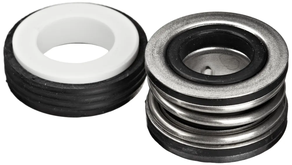 Pentair 354545S Seal Set for Pool and Spa Pumps