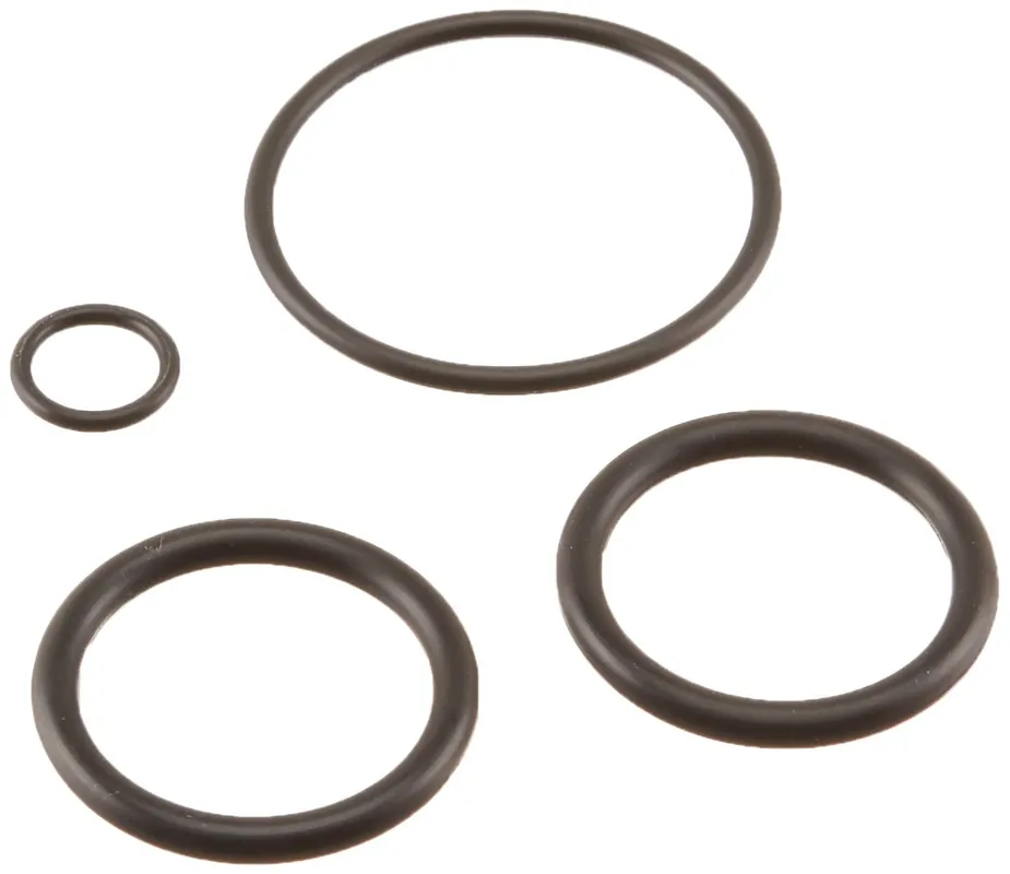 SK0299603-US20260702-105043-0 Pentair 273109 Noncorrosive Slide O-Ring Kit - Image 1