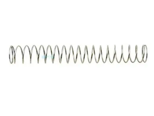 Pentair GW9522 Lift Brush Spring Great White