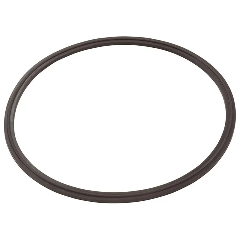 Zodiac R0623300 Leaf Catcher Seal