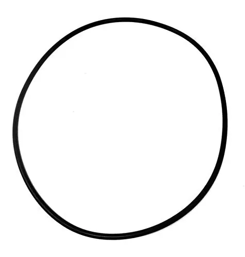 Paramount 005-302-0100-00 Base O-Ring for Water Valves & Modules