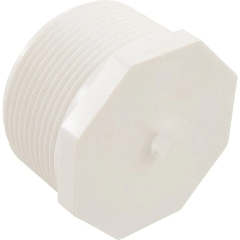 SK0305363-US20260702-105043-0 Lasco 450-025 Plug 2 1/2 MPT - Image 1