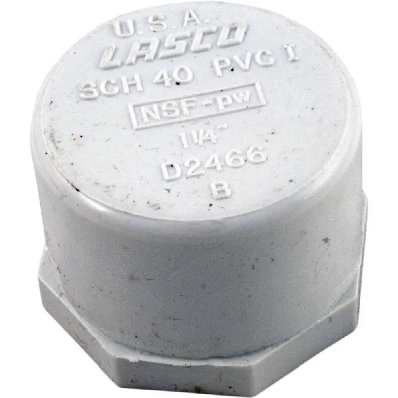 SK0305376-US20260702-105043-0 Lasco 448-012 Cap 1-1/4 Female Pipe Thread - Image 1