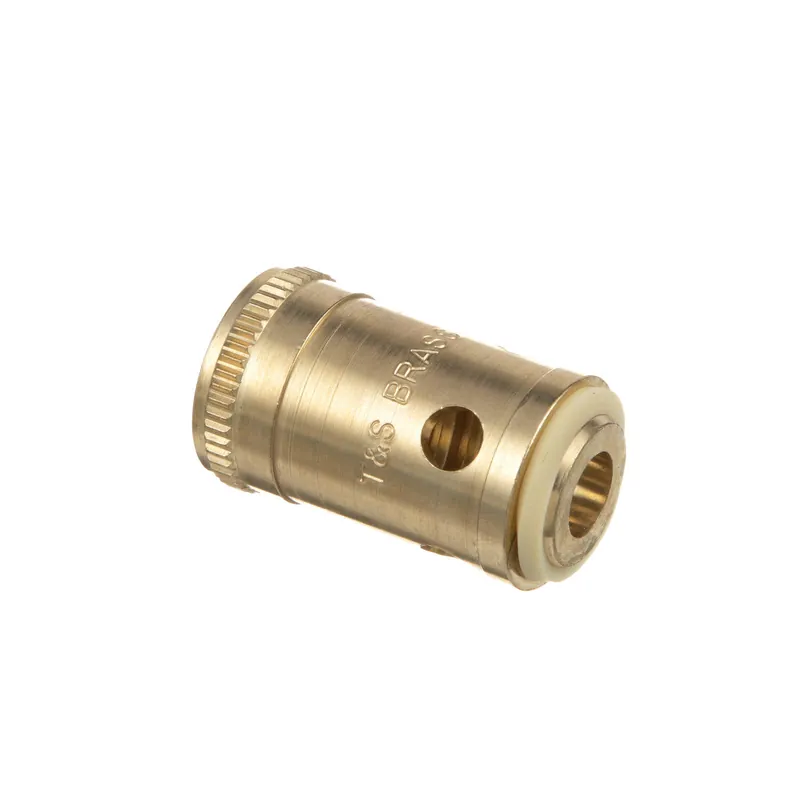 SK0318622-US20260702-105043-0 T&S Brass - 000789-20 - Removable Insert-Cold - Image 1