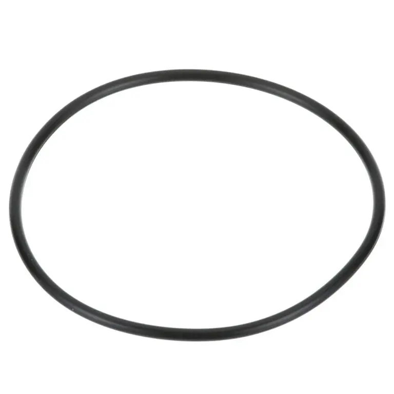 Everpure - 151120 - O-Ring