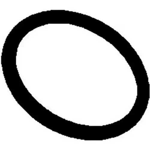 Everpure - 151121 - O-Ring, F/10"&20"Slimline Bowl