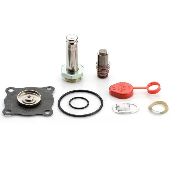 Asco 302191 Rebuild Kit for 8320 DC Series