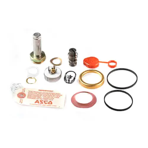 SK0321865-US20260702-105043-0 Asco 312712 Repair Kit - Image 1
