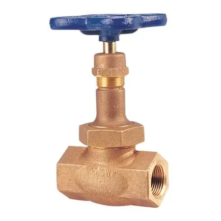 SK0325176-US20260702-105043-0 NIBCO NL3ZN0A T276AP 1 ThD 300# Globe Full Plug - Image 1